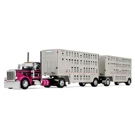 47887058