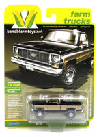 
              2022 AUTO WORLD 1:64 *B&B EX* Black & Gold 1973 Chevy Cheyenne K10 Fleetside NIP
            