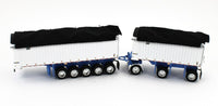 
              DCP 1:64 BLUE Kenworth W900L & EAST Michigan Series 31' & 20' END DUMP TRAILER
            