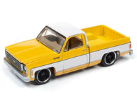 
              2019 AUTO WORLD 1:64 *PREMIUM* SET OF 4 = 1973 Chevy Cheyenne Pickup Truck *NIP*
            