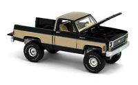 
              2022 AUTO WORLD 1:64 *B&B EX* Black & Gold 1973 Chevy Cheyenne K10 Fleetside NIP
            