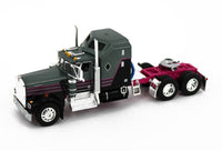 
              2022 DCP *GUN METAL & PINK* Kenworth W900A Aerodyne & Rogers Lowboy Trailer NIB
            