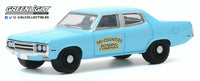 
              1:64 GreenLight DUKES OF HAZZARD Tri-Counties Bonding Co 1971 AMC Matador *NIP*
            