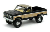 
              2022 AUTO WORLD 1:64 *B&B EX* Black & Gold 1973 Chevy Cheyenne K10 Fleetside NIP
            