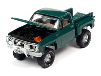 
              2020 AUTO WORLD 1:64 *PREMIUM 5B* GREEN 1980 Chevy Deluxe Stepside 4x4 K10 NIP
            